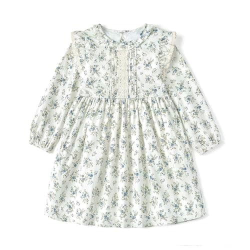 Curipeer Baby Girls Long Sleeve Lace Floral Dress Flower Printed Toddler Outfit Dress for Spring Blue-Floral 8T - Image 1