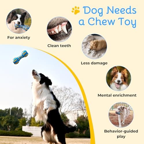 Ruffoo GnawBell Dog Squeak Toy for Interactive Play, Dual-Color Design Chew Toy for Dogs, Durable Natural Rubber Dog Toy for Medium & Large Breeds - Thumbnail 4