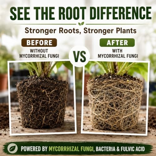 Mycorrhizal Fungi Inoculant with Trichoderma & Bacillus Subtilis, Concentrated Soil Activator for Stronger Roots, Bigger Growth & Higher Yields, Organic Mycorrhizae for Indoor & Outdoor Plants, 16oz - Thumbnail 4