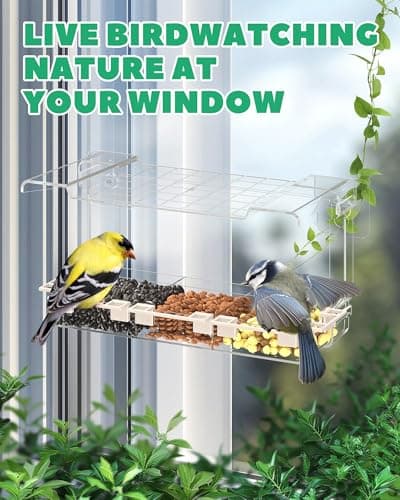 Clear Window Bird Feeder Outdoors - Bird Feeder for Viewing with 5 Perching Stands, Self-Adhesive Hooks, Drain Holes and Removable Tray, as a Birdhouse, Garden Decor - Thumbnail 5