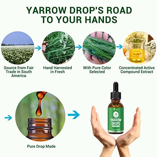 Yarrow Herb Tincture, Organic Yarrow Extract Liquid, GMP Certified, 98% Absorption, Non-GMO, Vegan, Gluten Free, Alcohol Free- 1 Fl Oz - Thumbnail 6