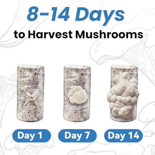 Fungiworks USA Organic 4lbs Lions Mane Mushroom Growing Kit, Double-Side Mushroom Grow Kit Indoor, Harvest Gourmet Mushrooms in 10 Days, Top Gardening Gift, Holiday Gift - Thumbnail 5