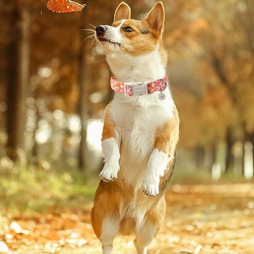 ARING PET Spring Summer Dog Collar, Cute Daisy Wildflower Floral Blossom Pet Collars for Small Medium Large Girl Dogs-L Size - Thumbnail 5