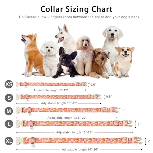 ARING PET Spring Summer Dog Collar, Cute Daisy Wildflower Floral Blossom Pet Collars for Small Medium Large Girl Dogs-L Size - Thumbnail 6