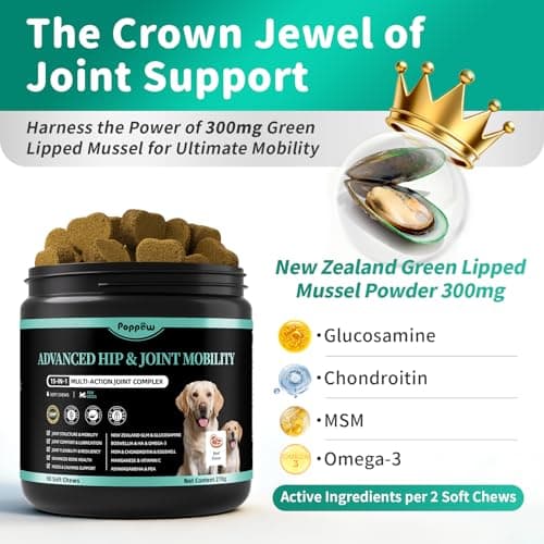 POPPAW Advanced Dog Joint Supplement – 15-in-1 Glucosamine for Dogs with Chondroitin, MSM & Green Lipped Mussel – Hip & Joint Pain Relief Mobility Chews, Beef Flavor, 90Ct Breeds - Thumbnail 3