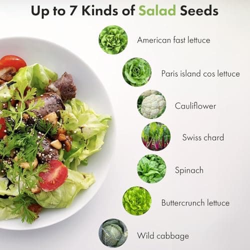 Lyko Heirloom Salad Greens Seed Pod Kit for AeroGarden, iDoo, Ahopegarden, GARDENCUBE, 12 Pods with American Fast/Paris Island/Buttercrunch Lettuce, Spinach, Swiss Chard, Cauliflower, Wild Cabbage - Thumbnail 3