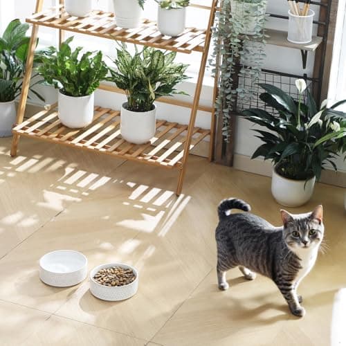 MALACASA Ceramic Dog Food Bowl, 1.5 Cups or 14oz Dog Food Water Dish for Small Breeds, Cats Pet Bowl Dishwasher & Microwave Safe, Five-Leaf Grass, Series Lydia - Thumbnail 6