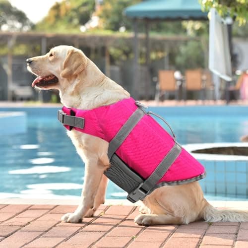 Doglay Dog Life Jacket, Dog Life Vest for Swimming Boating, Adjustable Puppy Life Jacket with Reflective Stripes, Superior Buoyancy Dog Swimming Vest for Small Medium and Large Dogs - Thumbnail 3