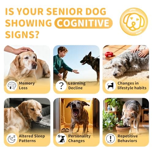 POPPAW Advanced Calming Chews for Dogs-Brain & Composure Support with 7 Mushrooms, Ashwagandha, Omega-3 DHA & EPA, Anxiety Relief Dog Calming Treat, All Breeds & Sizes, Chicken Flavor, 135Ct - Thumbnail 5