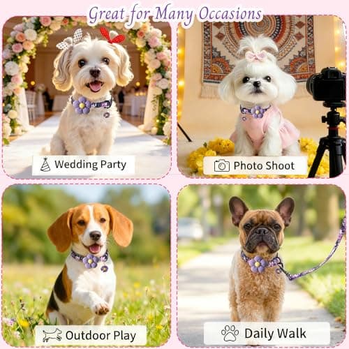 Small Dog Collar with Flower, Dog Collars for Small Dogs for Female Male Dogs Cute Dog Collar with Pendant - Thumbnail 3