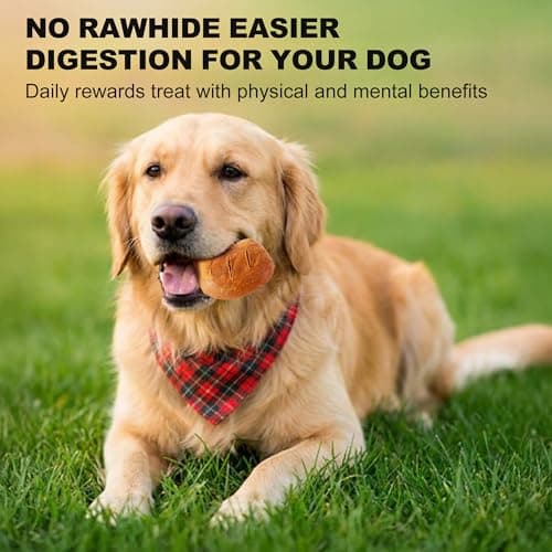PETPHABET Rawhide Free Dog Chew Bones - Grilled Chicken Leg Dog Chews for Small Medium Breeds, Healthy Puppy Treats for Training & Teething, Made with Real Chicken, Natural Smoky Flavor, 11 Count - Thumbnail 5