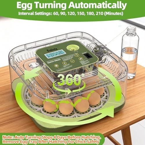 Automatic 12 Egg Incubator - Digital Temperature/Humidity Display, Hatch Day Countdown, Auto Egg Turner & Candler with 360° View for Hatching Chicken, Duck, Quail Eggs - Thumbnail 6
