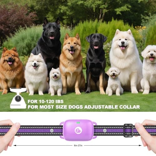Heaflex Shock Collar for Dogs 2600FT,Dog Training Collar with Remote Purple - Thumbnail 5
