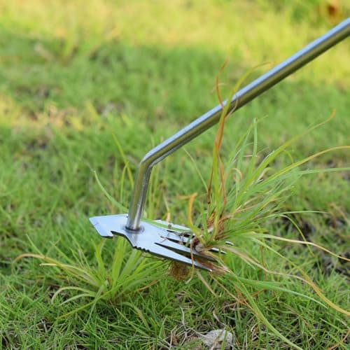 Jahenway Weed Puller Tool, Stainless Steel Gardening Hand Weeder Tools, Weeding Artifact Uprooting Weeding Tool, Weed Removal Tool, 4-Tooth Dual Purpose Manual Weed Pulling Tool for Yard Garden - Thumbnail 6
