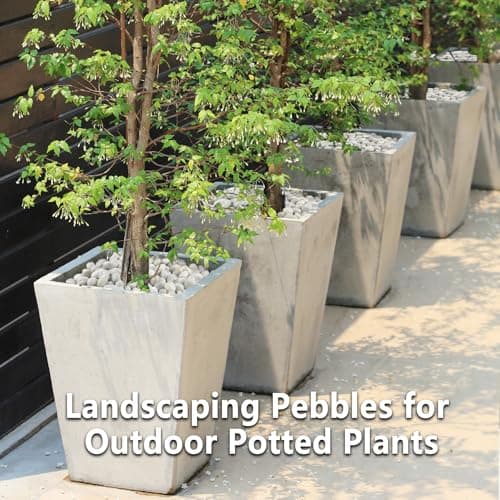 Garrdeen 15LB White Rocks, High Polished 1–2 inch Decorative Rocks for Plants, Lava Rocks for Plants, White Pebbles for Indoor Plants, Aquarium & Fish Tank Rocks,Garden Landscaping River Stones - Thumbnail 6