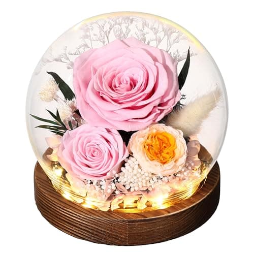 Eaprala Gifts for Her Preserved Flower Rose in Glass Dome Gifts for Women Mom Wife on Birthday Chrismas,Home Decoration.Pink - Image 1