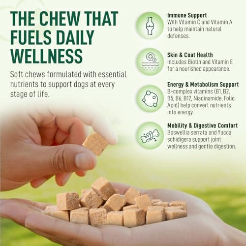 My Dog Sanctuary 14 in 1- Multivitamin for Dogs 120 Chews - Daily Support for Active & Aging Dogs Supplies/Vitamin A, D3, E, C, and B-Complex for Joint, Skin, Coat, Immune - Dog Multivitamin, Bacon - Thumbnail 2
