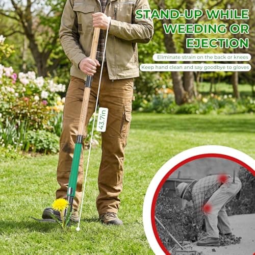 Allsetool Weed Puller Tool with 2 Weed Eject Feature, 43.7in Stand Up Dandelion Remover Tool, Real Bamboo Handle and Metal 4 Claw & Foot Pedal, Heavy Duty Garden Weeder - Thumbnail 5