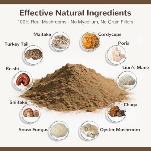 Turkey Tail Mushroom Powder for Dogs, Organic 10 Mushroom Blend for Lipoma Lumps and Bumps, Dog & Cat Herbal Supplements Probiotic with 50% β-Glucan, Joint Gut Immune Skin Support - 60g - Thumbnail 3
