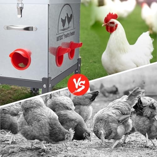 AOTECC Metal Chicken Feeder, 40lb Automatic Chicken Feeder - 6 Feeding Ports, No Waste Poultry Feeder with Locking Lid & Legs for Outdoor Inside Chicken Coops Geese Ducks, Weatherproof, Rodent Proof - Thumbnail 5