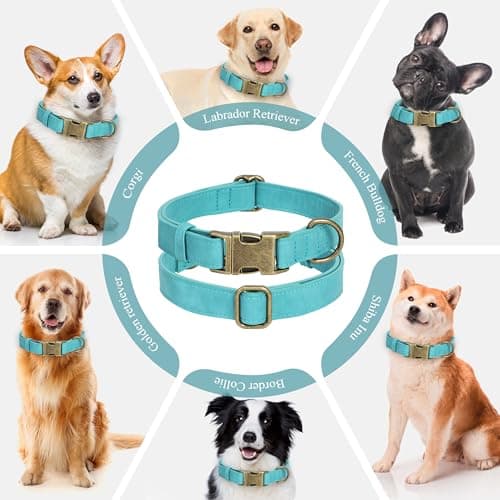 Jumpress Soft Leather Dog Collar for Small Medium Large Dogs, Heavy Duty Dog Collar Leather with Quick Release Metal Buckle, Durable & Adjustable for Medium Dogs Walking (Teal Blue, M) - Thumbnail 3