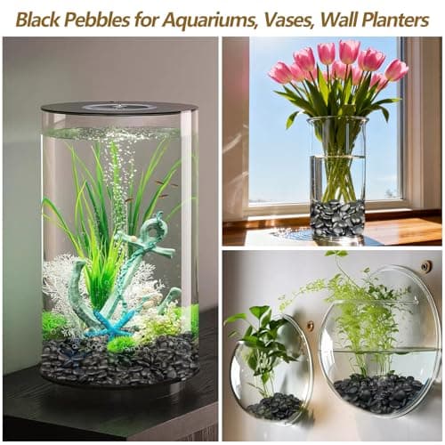 Garrdeen 5LB Black Polished River Rocks, 0.5–1.0 inch Small Pebbles for Indoor Plants, Aquarium Rocks, Fish Tank Gravel, Decorative Stones for Planters, Vase Fillers & Landscaping Decor - Thumbnail 6