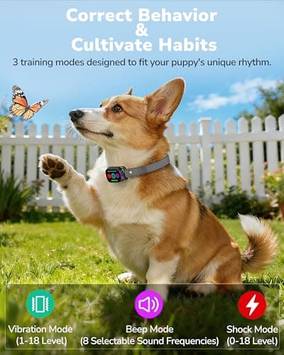 Canivix Dog Shock Collar with Remote Control, 3300FT Dog Training Collar with Beep/Vibration/Shock, Security Lock, IPX8 Waterproof Ecollar Rechargeable for Small Medium Large Dogs - Thumbnail 2