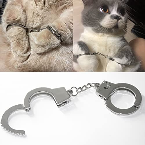 ZB.soar Funny Cat Handcuffs, Key Buckle,Stainless Steel Pet Toy Handcuffs, Mini Pet Handcuff Suitable for Most Small Pets,Increase The Relationship with Your Pets (Metal) - Image 1
