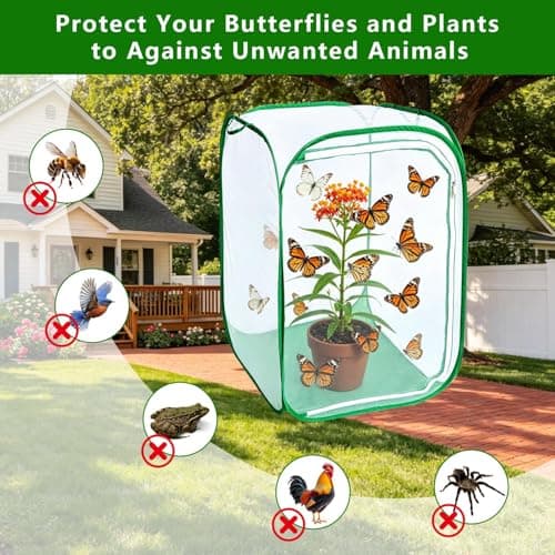 Butterfly Habitat Insect Cage Clear See Through Pop-up Collapsible Butterfly Enclosure-Large 23.6"x23.6"x35.4" - Thumbnail 3