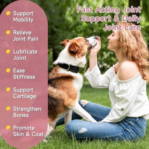 Senior Dog Hip & Joint Supplement – Chicken Flavor Soft Chews with Glucosamine, Chondroitin, MSM, Yucca & Dual Omega 3-6 – Daily Multivitamin for Mobility & Vitality – ZOAPETAL - Thumbnail 2