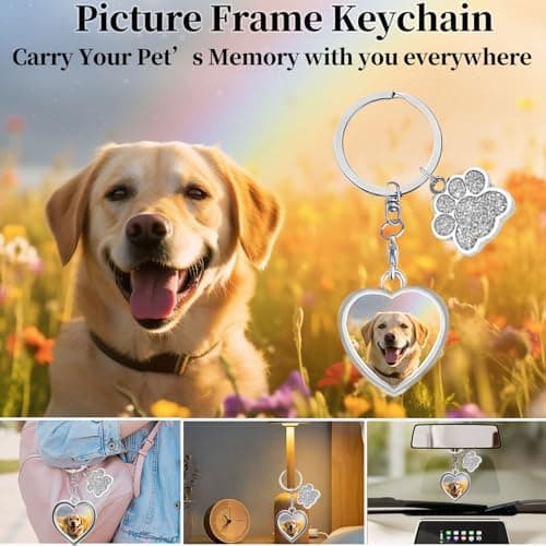 Solar Lantern Pet Memorial Gifts, with Picture Frame Keychain/Sympathy Card Dog Memorial Gifts for Loss of Dog Outdoor Solar Light Loss of Dog Sympathy Gift(with Silver Paw Keychain) - Thumbnail 6