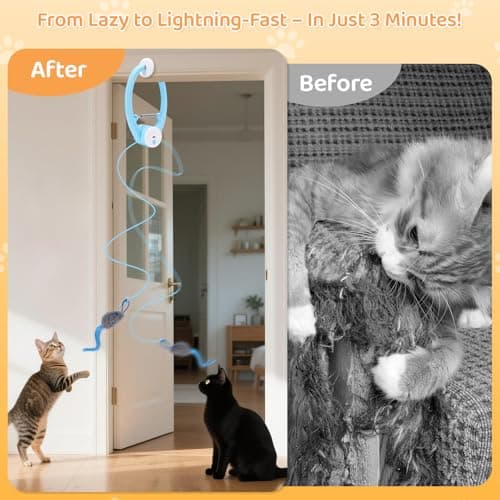 COSOWO Automatic Interactive Cat Toys for Indoor Cats Electric Fluttering Butterfly Feather Wand Hanging Toy Kitten & Adult Cat Enrichment Stimulation Toys for Bored Cats USB Rechargeable, Blue - Thumbnail 6