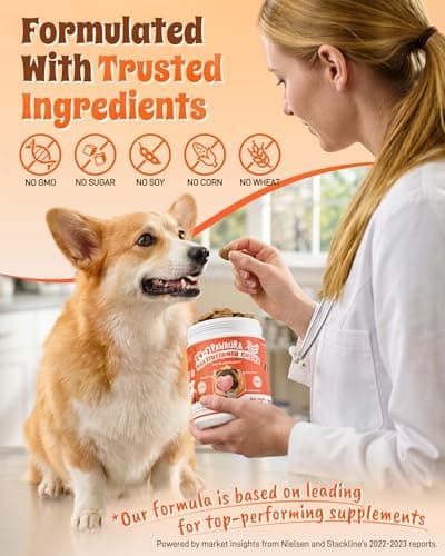 PAWAURA 24-in-1 Multivitamin Dog Supplement, 150 Soft Chews – Glucosamine & Chondroitin for Joint Support, Probiotics for Gut Health, Omega Fish Oil for Skin & Coat, Daily Dog Vitamins - Thumbnail 4