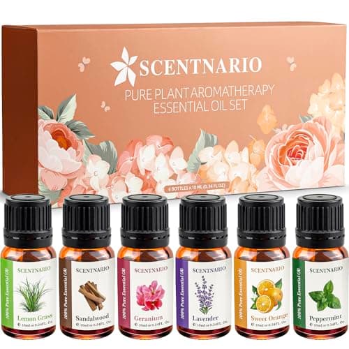 Essential Oils Set - 100% Pure & Natural Organic Essential Oil Gift Set (10ml/0.34fl.oz) Therapeutic Grade, Great for use in Aromatherapy, Diffuser, Humidifier, DIY Candle, Soap and Bath Bombs Making - Image 1