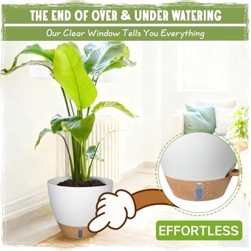 Self-Watering Pots for Indoor Plants 4 Pack, 6/8/10/12 Inch Outdoor Planters with Water Level Indicator&Deep Reservoir, Decorative Flower Pots for Indoor Plants,Home Decor (White, 12+10+8+6 inch) - Thumbnail 4