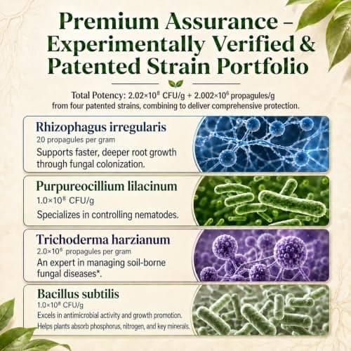Mycorrhizal Fungi Inoculant with Trichoderma & Bacillus Subtilis, Concentrated Soil Activator for Stronger Roots, Bigger Growth & Higher Yields, Organic Mycorrhizae for Indoor & Outdoor Plants, 16oz - Thumbnail 3