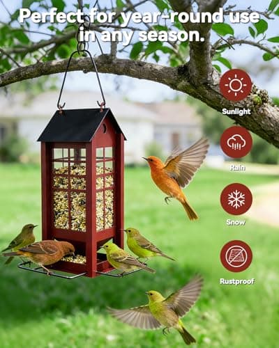 Hanging Bird Feeder for Outdoors, Metal Bird Seed Feeder with Roof, Large Capacity Wild Bird Feeder for Garden Yard Patio, Squirrel Resistant Easy Refill Bird Feeder - Thumbnail 2