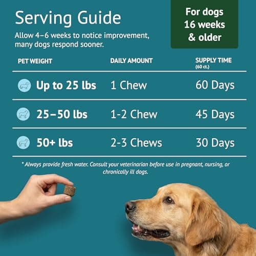 Dog Allergy Chews for Itchy Skin, Hot Spots, Paw Licking Relief & Itchy Ears – Quercetin, Turmeric, Probiotics & Colostrum – Made in USA – 60 Count - Thumbnail 6