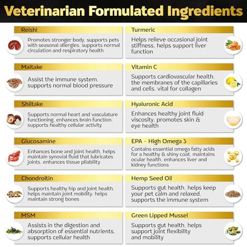 Life4Legs - Soft Chews Hip and Joint Supplement for Dogs - Dog Joint Pain Relief Treats - Glucosamine, Chondroitin, Turmeric- Mobility Supplement - Thumbnail 6