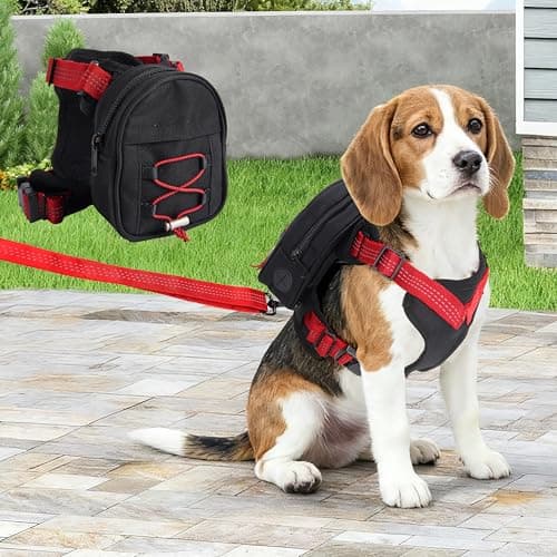 Adjustable Backpack for Small Dogs, Dog Backpack Harness with Reflective Leash, Built in Poop Bag Dispenser, Detachable Dog Back Pack for Outdoor Adventures, Puppy Training, Walking(Black,Large) - Image 1