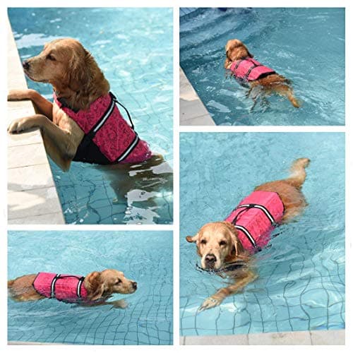 Doglay Dog Life Jacket, Dog Life Vest for Swimming Boating, Adjustable Puppy Life Jacket with Reflective Stripes, Superior Buoyancy Dog Swimming Vest for Small Medium and Large Dogs - Thumbnail 6