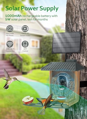 Osoeri Smart Bird Feeder with Camera, 1080P HD AI Identify & Capture Bird Videos, Auto Motion Detection, DIY Add-ons & Hummingbird Feeder, Wood Color-2 Bins - Thumbnail 4