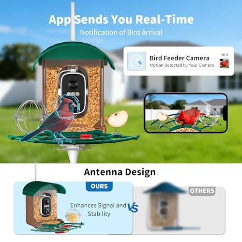 NIORSUN Smart Bird Feeder with Camera Solar Powered, 2K HD Video AI Recognition Feeder with Instant Notifications, Eagle Alarm, Infrared Night Vision, Ideal Gift for Family and Bird Lovers, Green - Thumbnail 4