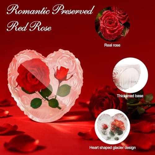 Preserved Roses Valentines Day Gifts for Her with Necklace Set & Scented Candle, Romantic Eternal Flowers Rose Birthday Gift for Wife Girlfriend Daughter Mom on Valentine's Mother's Day Anniversary - Thumbnail 4
