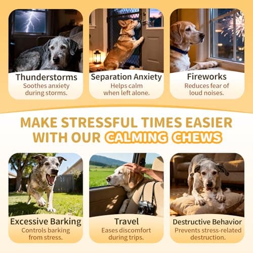 POPPAW Advanced Calming Chews for Dogs-Brain & Composure Support with 7 Mushrooms, Ashwagandha, Omega-3 DHA & EPA, Anxiety Relief Dog Calming Treat, All Breeds & Sizes, Chicken Flavor, 135Ct - Thumbnail 4