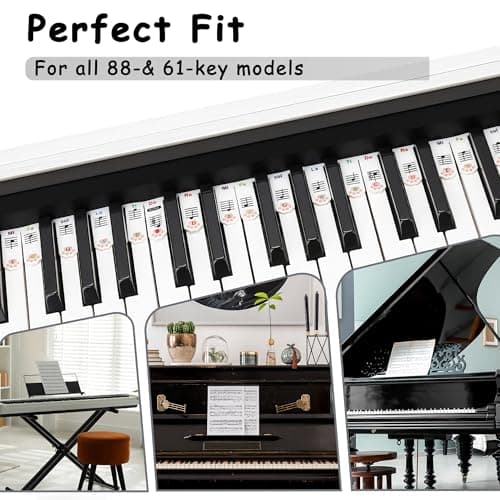 XynkoreX Silicone Piano Keyboard Stickers, Removable Piano Keyboard Note Labels for Learning, 88-Key Full Size, Piano Notes Guide for Beginner, Reusable Comes Unique and cute dog paw design (Rainbow) - Thumbnail 5