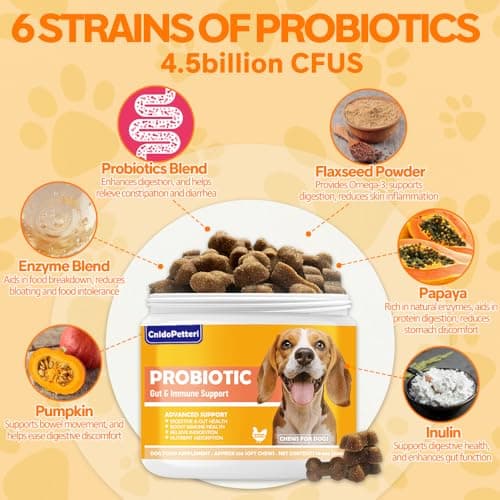 Probiotics for Dogs - 6 Digestive Probiotics & 6 Enzymes for Itchy Skin,Digestion & Gut Support,Helps Diarrhea, Yeast Infection, Upset Stomach,Allergies & Immune System Support-150 Chews - Thumbnail 2