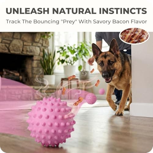 Apasiri Bacon-Flavored Squeaky Balls for Dogs: 3.5 Inch Durable Rubber Bouncy Dog Balls for Aggressive Chewers, Spiky Floating Dog Balls for Large & Medium Dogs, Dog Birthday Gift, Fetch Games, Pink - Thumbnail 3