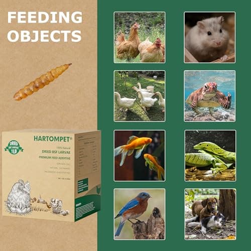 HARTOMPET 1LB Non-GMO Dried Black Soldier Fly Larvae for Chickens, Superior Calcium Boost, Better Than Dried Mealworms, Poultry Feed Ideal for Molting & Laying Hens, Wild Birds, Ducks | Top Grade BSF - Thumbnail 6