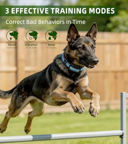 Shock Collar for Dogs, 4200FT Dog Training Collar with Remote for 15-120lbs Small Medium Large Dog, IP68 Waterproof Rechargeable E Collar with 3 Training Modes: Beep, Vibration, Safe Shock (Black - Thumbnail 2